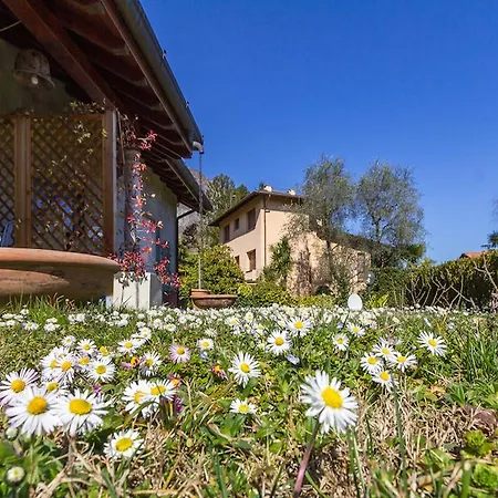 Gioiosa Apartamento Cadenabbia